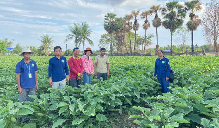 /2026/03/ministry-of-commerce-in-bid-to-resolve-agricultural-produce-market-glut-52000-629722.htm